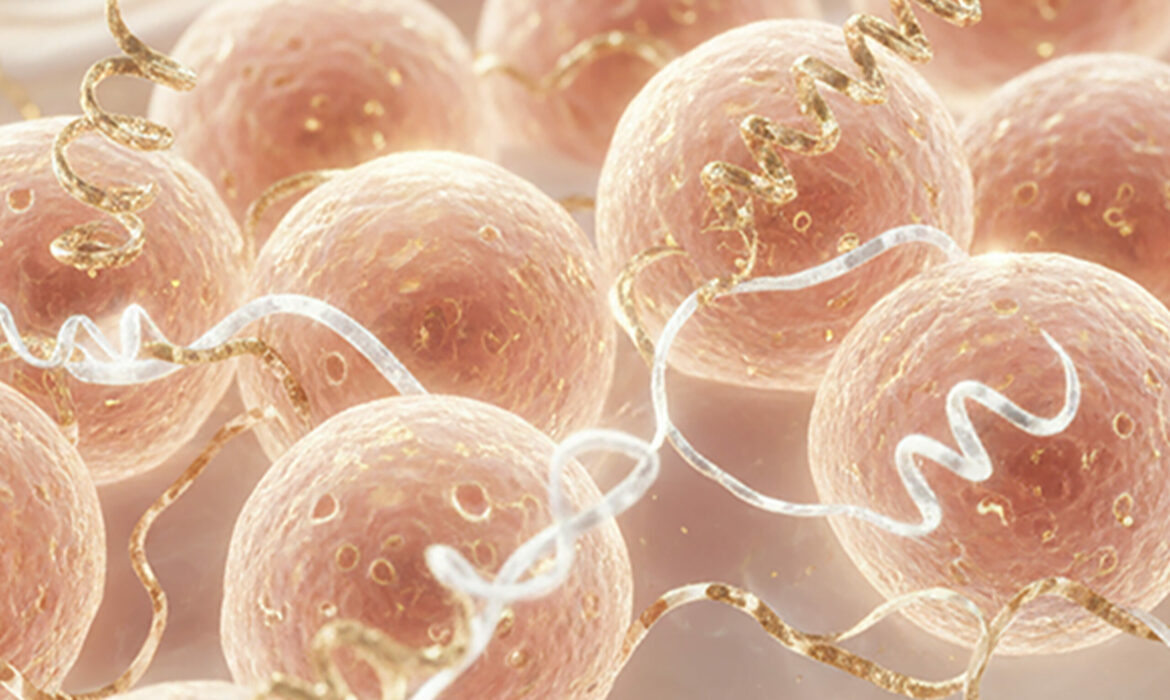 Une symbiose méticuleuse de peptides biomimétiques,de PDRN et d’exosomes.