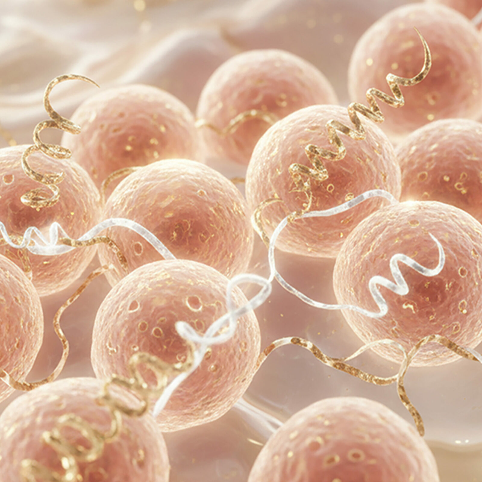 Une symbiose méticuleuse de peptides biomimétiques,de PDRN et d’exosomes.