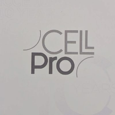 ICCE_Plan de travail 1